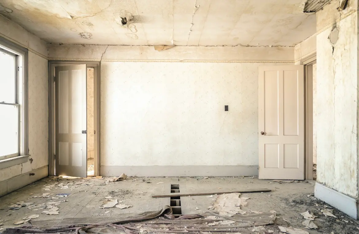 Waste disposal crew managing a cleanout project in Temple Terrace